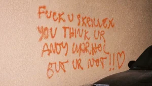 Skrillex and RÜFÜS DU SOL in the 2026 Grammy Nominations